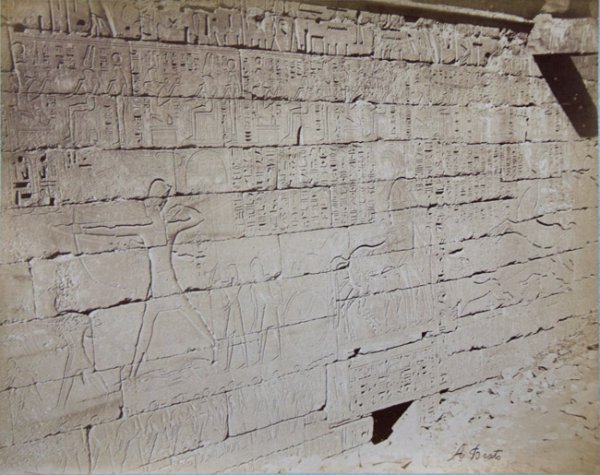 untitled (Egyptian hyrioglyphs)
