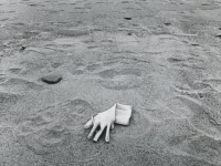 Untitled (glove on the beach)