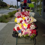 Glenn Sloggett. 2011. Plastic flowers